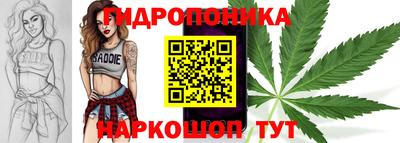 спиды Будённовск