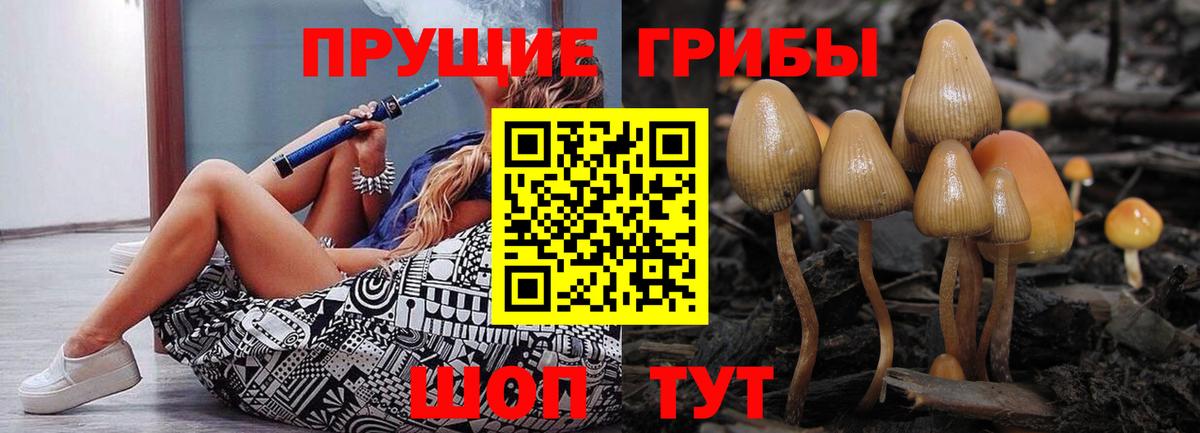 Буйнакск  Псилоцибиновые грибы прущие грибы  Вход с VPN 